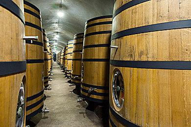 《刺客信条》早期UI被粉丝怀念 呼吁育碧加入科幻元素